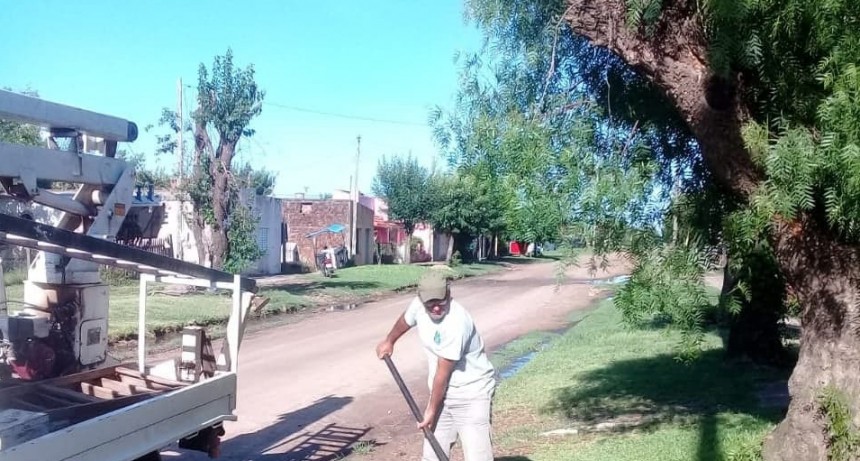 EL MUNICIPIO LLEVA ADELANTE TAREAS DE MEJORAMIENTO EN LA ILUMINACIÓN DE CALLE 25 E MAYO 