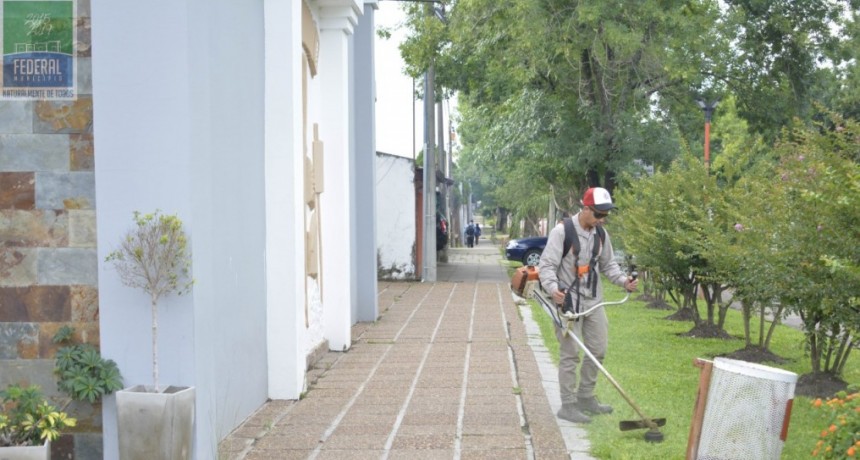 EL ÁREA DE SERVICIOS PÚBLICOS REALIZA TAREAS DE MANTENIMIENTO DE ESPACIOS PÚBLICOS 