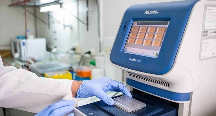 Descubren el rol clave de una proteína en el desarrollo de la septicemia, que evitaría muertes