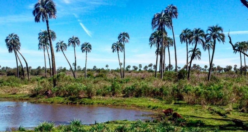 Entre Ríos se consolida como tercer destino turístico nacional
