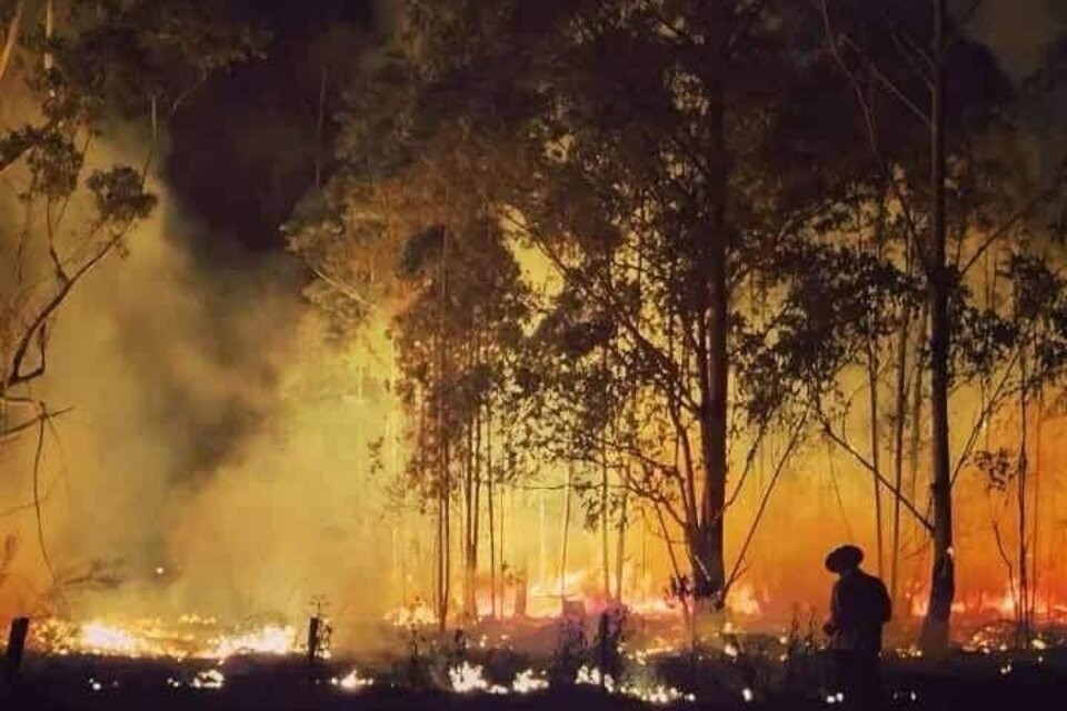 Está en peligro la Reserva del Iberá Alarma en Corrientes: el fuego está llegando muy cerca de las viviendas