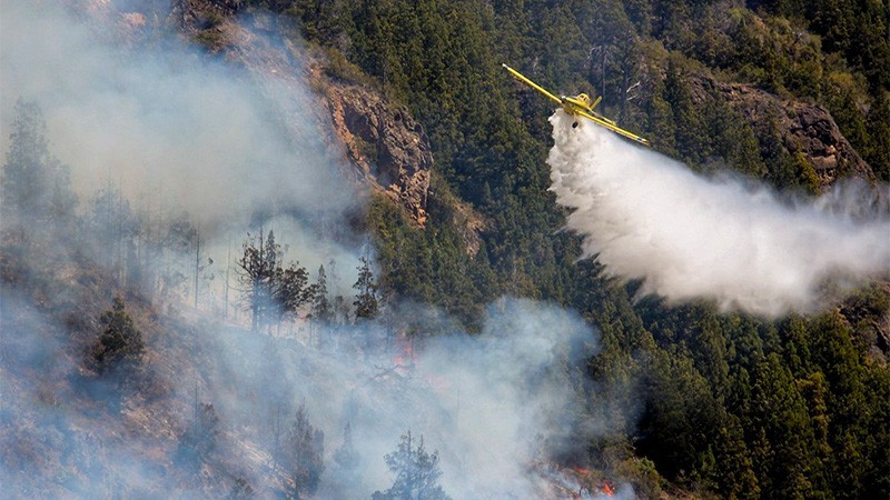 Las pérdidas estimadas por los incendios forestales ascienden a $ 3,850 billones
