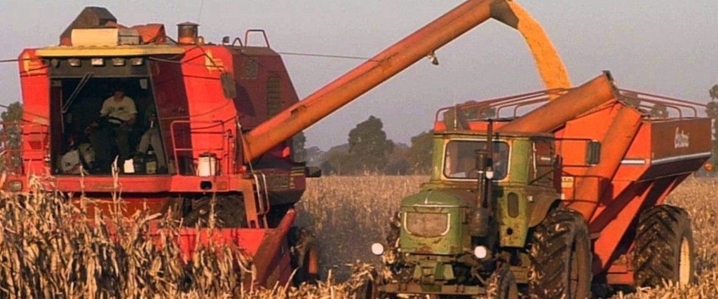 Más agricultores entrerrianos se suman al programa de compensaciones para maíz y soja