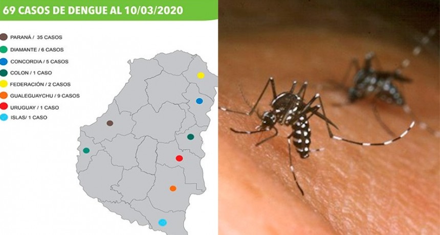 Aumentaron a 69 los casos de dengue en Entre Ríos