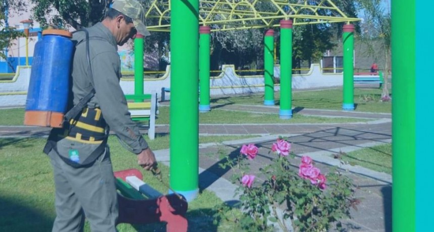 FUMIGACIONES EN BARRIOS EX MILITAR Y CENTENARIO