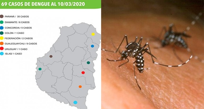 Murió un adolescente de 14 años por dengue y ya son cinco las víctimas en todo el país