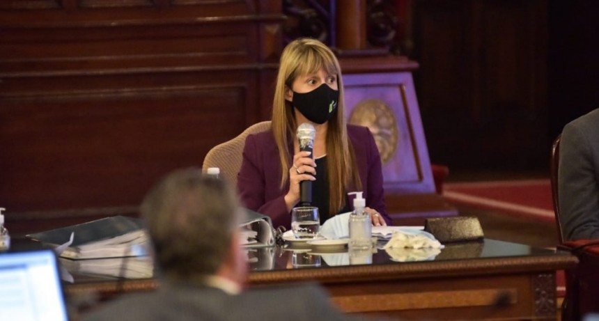 Velázquez en Diputados: “Todas las personas vacunadas están comprendidas en la población objetivo”