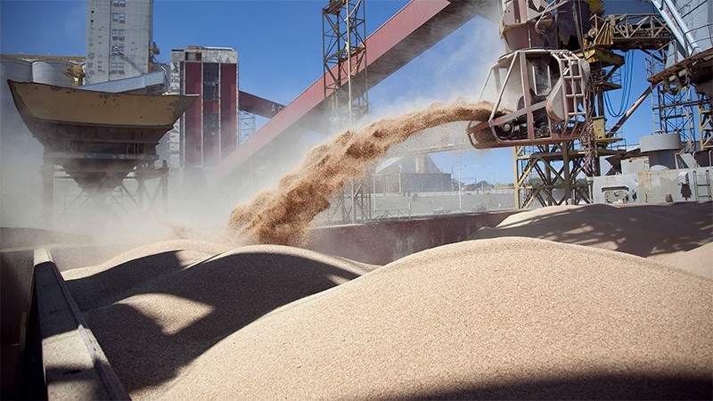 Suspendieron “hasta nuevo aviso” las exportaciones de harina y aceite de soja