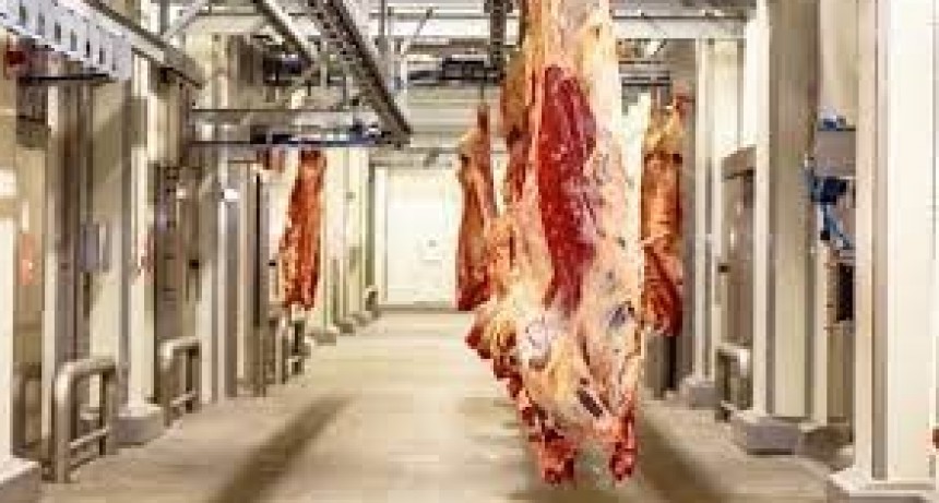 Desde 1 de noviembre el troceo de carne será obligatorio