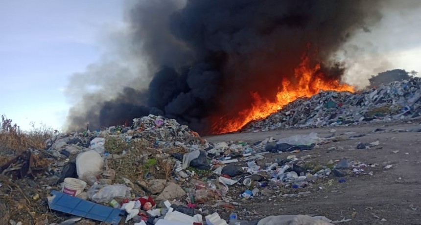 FEDERAL LIBRE DE HUMO