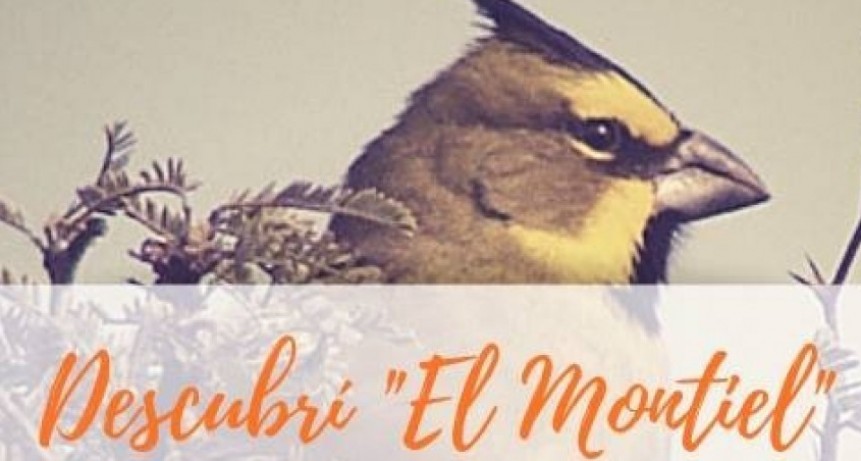EXCURSIÓN “DESCUBRÍ EL MONTIEL”