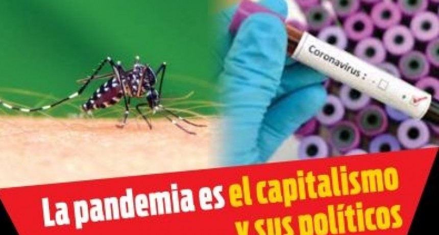 Alarma por la cantidad de casos de dengue que hay en Nogoyá. Solicitan prestar cumplimiento a las solicitudes del gobierno 