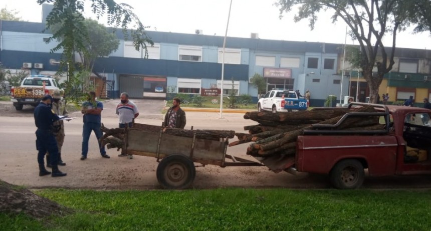 PROCEDIMIENTO POR LEY DE MONTES NATIVOS POR LA POLICIA
