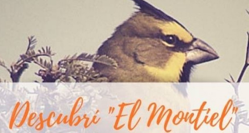 EXCURSIÓN “DESCUBRÍ EL MONTIEL”