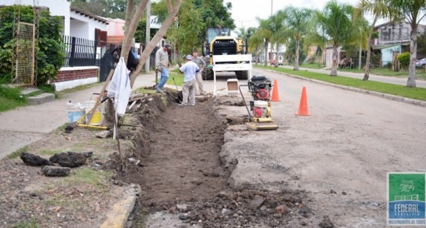TRABAJOS SOBRE BV. URQUIZA