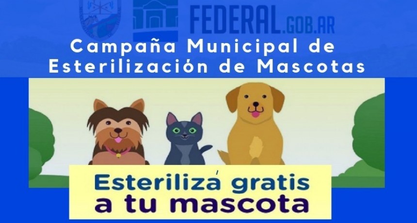 CAMPAÑA MUNICIPAL DE CASTRACIÓN