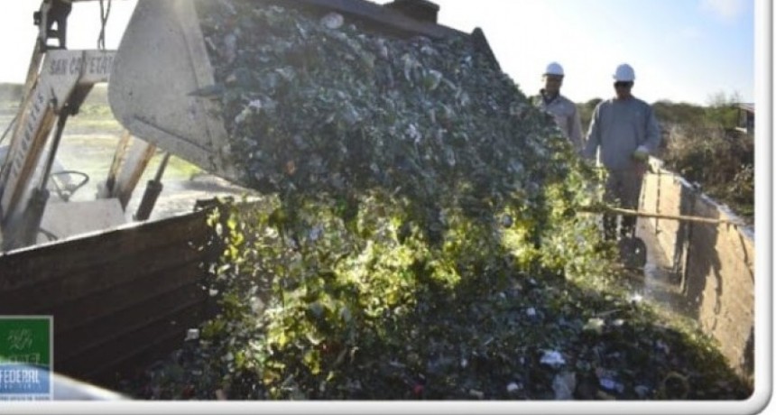 RECICLADO DE VIDRIO EN LA PLANTA DE TRATAMIENTO DE RESIDUOS