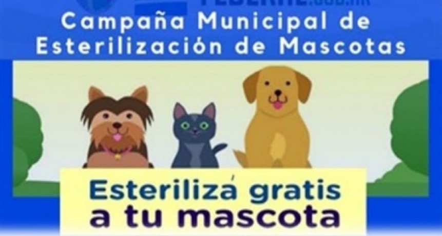 CAMPAÑA MUNICIPAL DE CASTRACIÓN GRATUITA