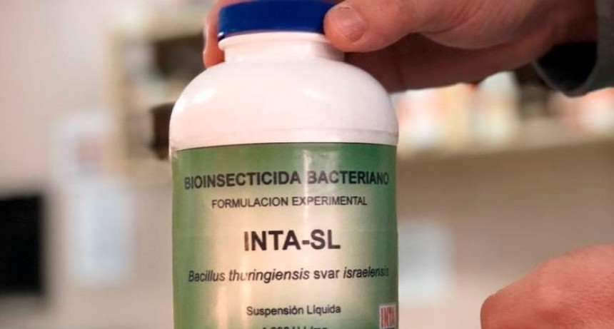 El INTA desarrolló un producto contra el dengue: Se trata de un 