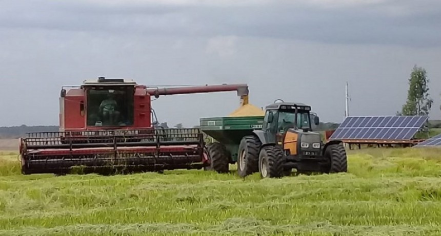 Exitosa prueba piloto en energías alternativas para riego de cultivo de arroz