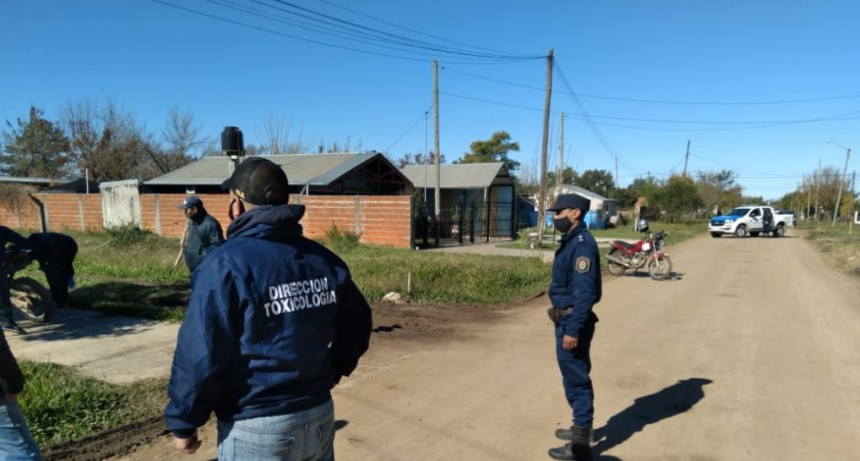 EXITOSA ACTUCION POLICIAL;  DIVISION TOXICOLOGIA LOGRA DESBARATAR IMPORTANTE BANDA QUE DISTRIBUIAN ESTUPEFACIENTES EN FEDERAL