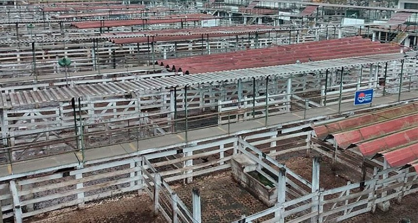 La Mesa de Enlace extendió el cese de venta de hacienda hasta el miércoles