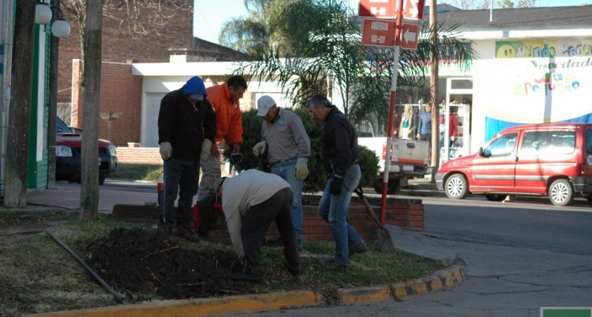 Se colocaran nuevos semáforos en Federal