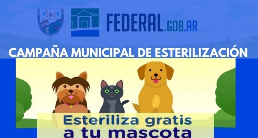 CAMPAÑA MUNICIPAL DE CASTRACIÓN GRATUITA DE MASCOTAS