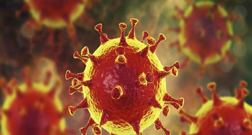 En Entre Ríos se registraron 10 nuevos casos de coronavirus: 6 son de Paraná