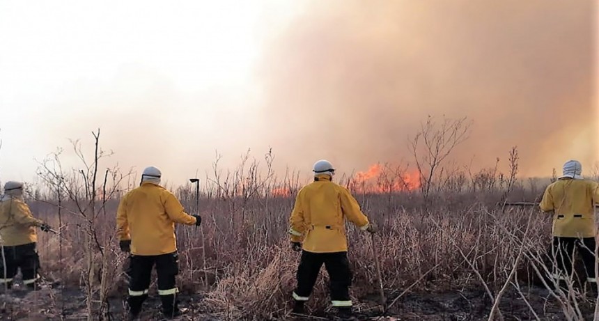 Brigadistas entrerrianos combaten incendios cercanos a viviendas rurales en el Delta     