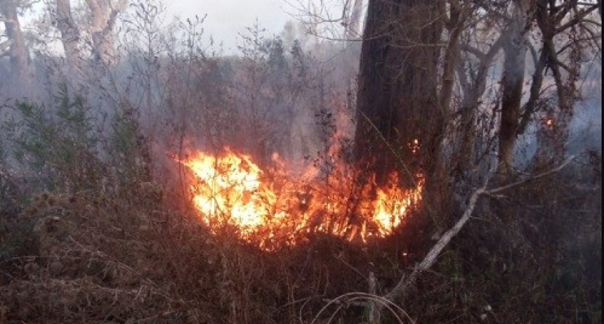 Incendios en el Delta: Prefectura identificó a 7 sospechosos, 2 de ellos poseen antecedentes judiciales 