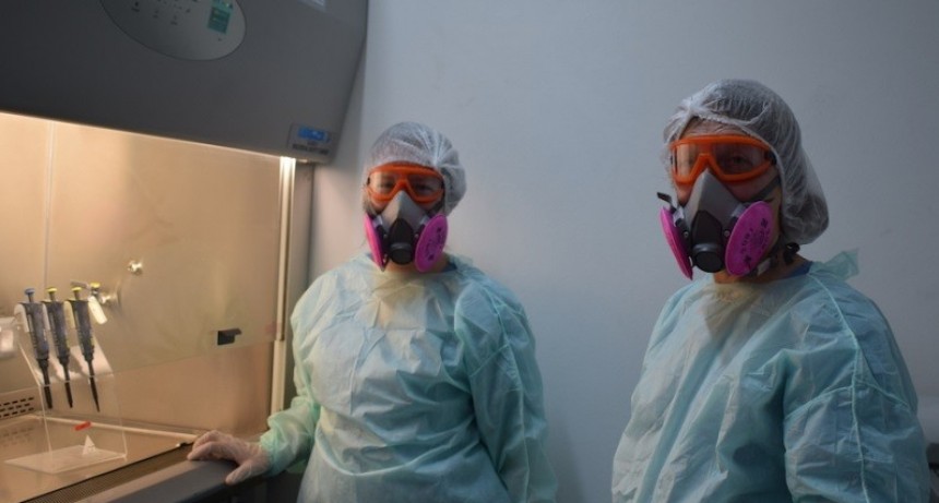 Científicos de la UNLP hicieron un descubrimiento clave del coronavirus