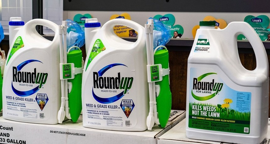 ESTADOS UNIDOS  Bayer perdió su tercera apelación en un juicio por el uso de glifosato de Monsanto