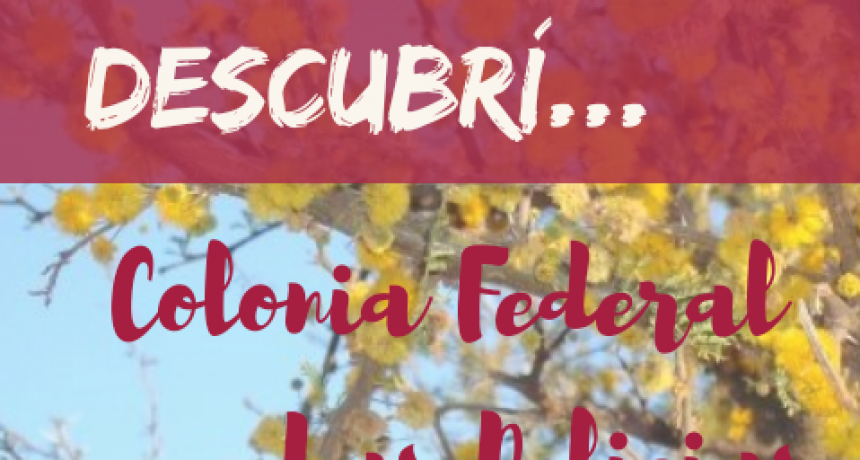 SÁBADO 08 DE SEPTIEMBRE: EXCURSIÓN A COLONIA FEDERAL Y PARAJE LAS DELICIAS  