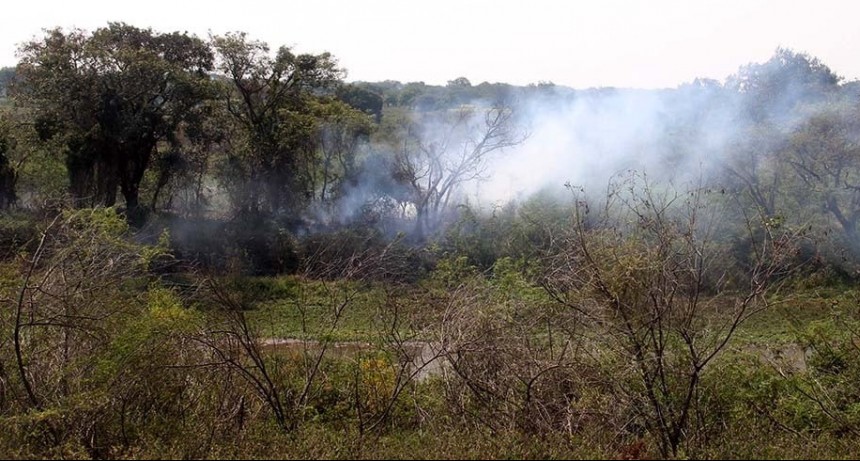 Las lluvias trajeron alivio y el fuego en el Delta entró en una etapa “controlada” 