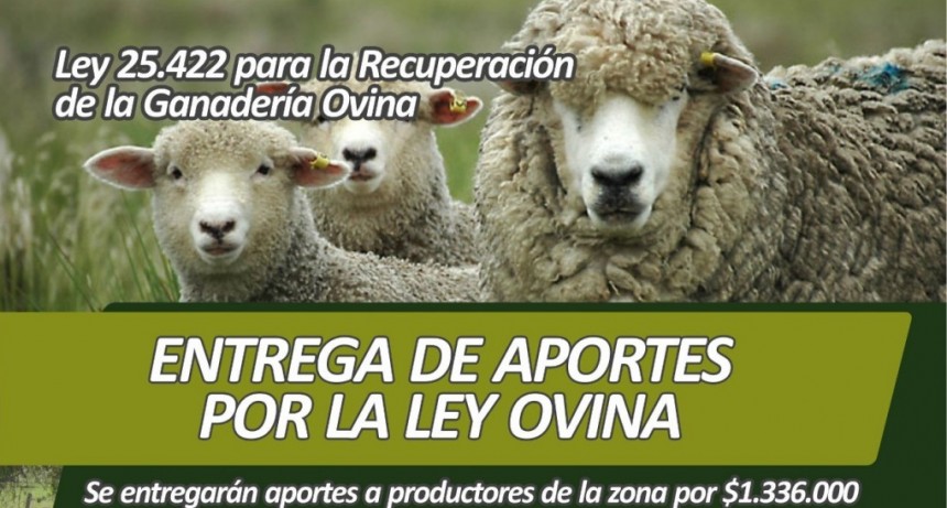 ENTREGA DE APORTES ECONÓMICOS A PRODUCTORES DEL DEPARTAMENTO FEDERAL 