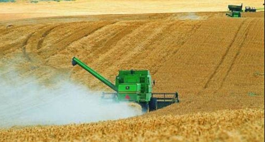Cuales son los ejes de la ley de fomento al desarrollo agroindustrial
