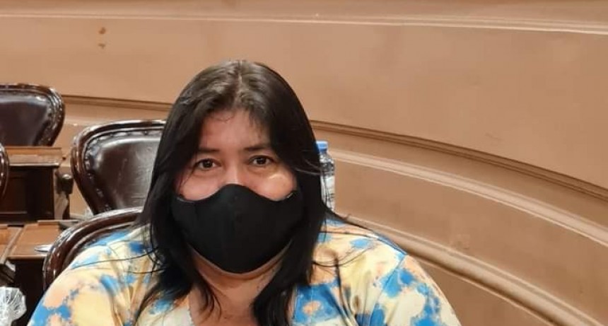 El Senado aprobó por unanimidad, la Ley de Enfermería y el Régimen de Protección, Asistencia y Prevención de la Violencia de Género