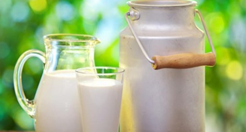  Fue lanzando este lunes oficialmente.  El nuevo contrato futuro de leche cruda comenzará a operar el 15 de diciembre tanto en pesos como en dólares
