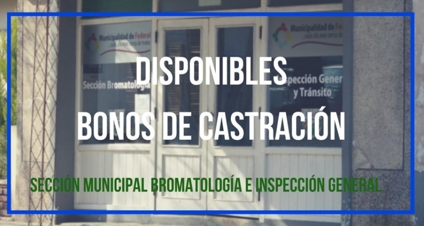 COMIENZA LA ENTREGA DE LOS BONOS MENSUALES PARA ESTERILIZACIÓN DE MASCOTAS