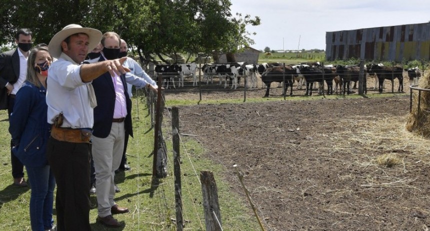 La provincia invertirá casi 50 millones de pesos para mejorar la competitividad de la cadena láctea