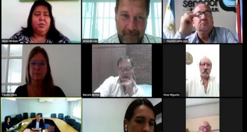 Comisiones del Senado emitieron dictamen sobre varios proyectos en estudio