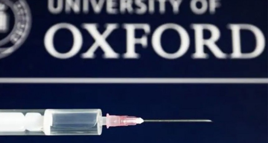 Vacuna de Oxford: anuncian que es segura en sanos y provoca respuesta inmune