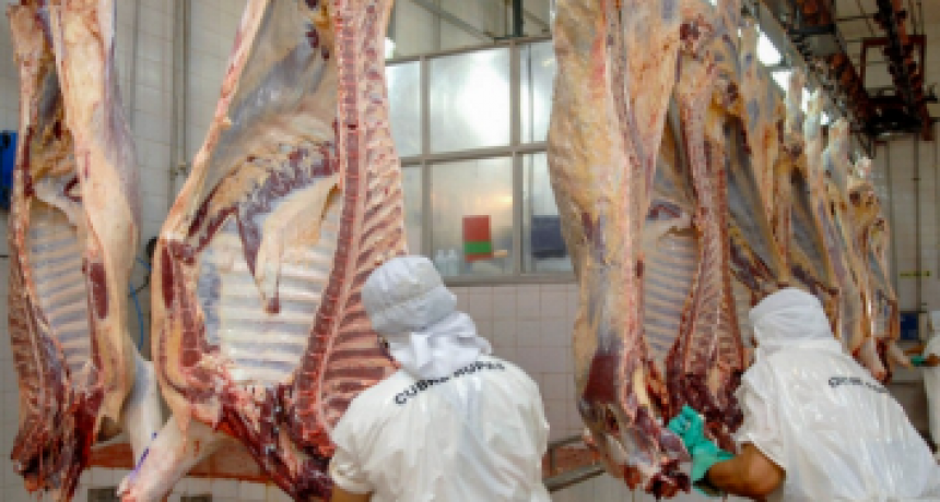 Las exportaciones de carne vacuna crecieron casi 25% en septiembre