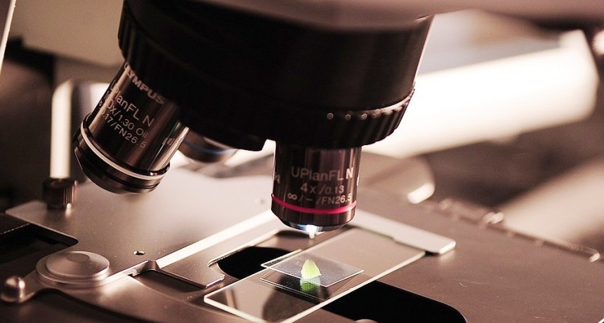 Científicos argentinos descubrieron micro moléculas de ARN en el virus SARS-CoV-2