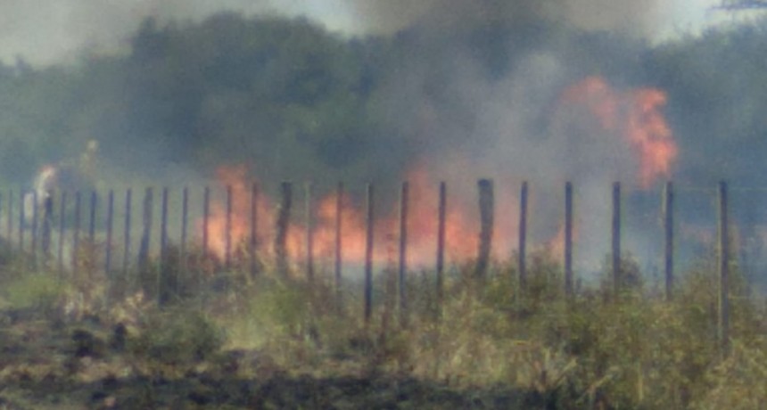 INCENDIO EN ESTANCIA 